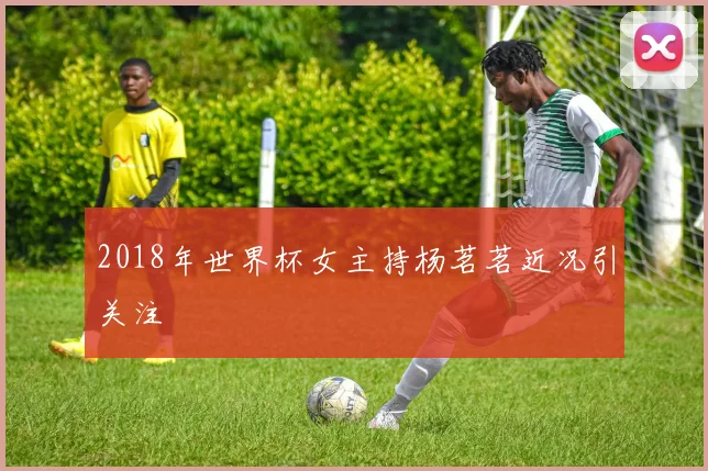 2018年世界杯女主持杨茗茗近况引关注