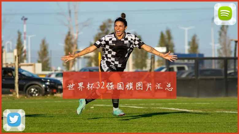 世界杯32强国旗图片汇总
