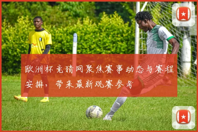 欧洲杯竞猜网聚焦赛事动态与赛程安排，带来最新观赛参考